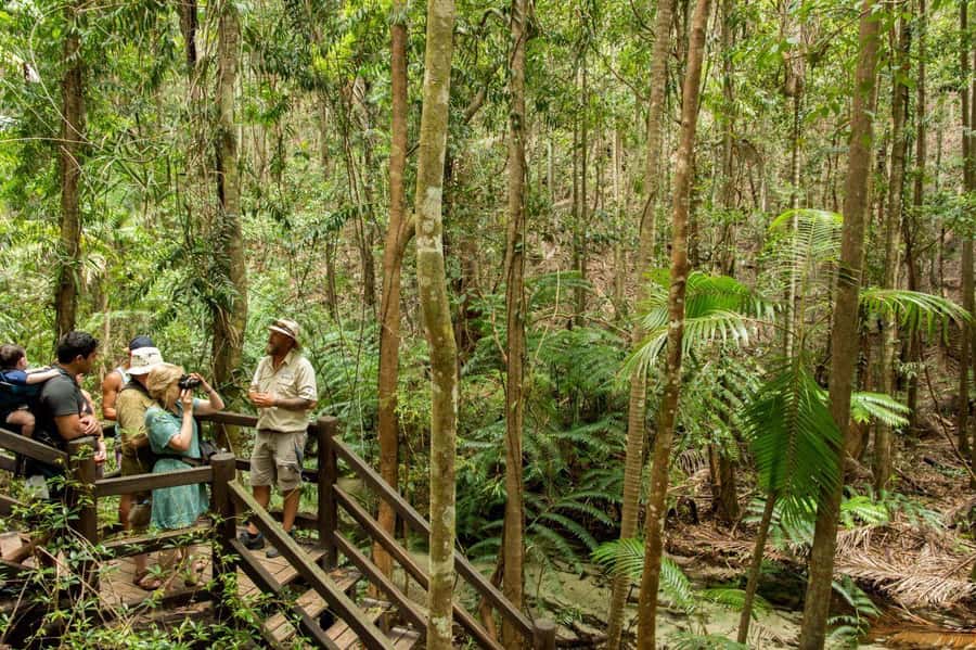 From Rainbow Beach: K'gari Fraser Island Full-Day Coach Tour - Central Station and the Wanggoolba Creek walk