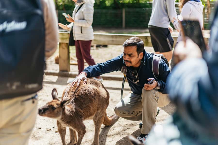 From Sydney: Blue Mountains Full-Day Trip - Timing, pickup, and the pace of the day