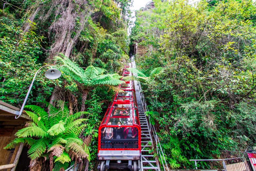 From Sydney: Blue Mountains, Scenic World, Zoo, & Ferry Ride - Echo Point and the Three Sisters