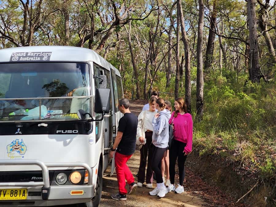 From Sydney: Blue Mountains Tour with Waterfall Walk & Lunch - Lookouts, wildlife, and the Three Sisters