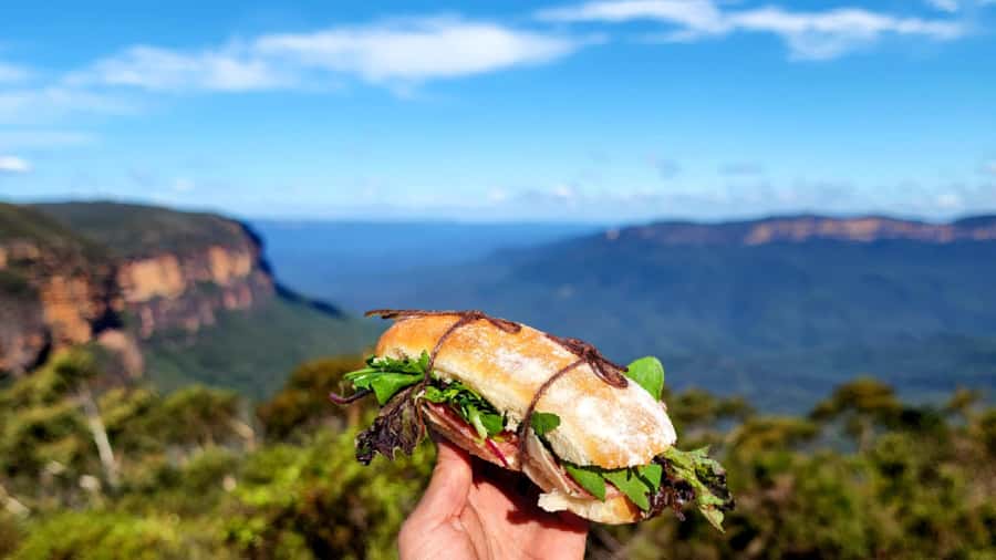 From Sydney: Blue Mountains Tour with Waterfall Walk & Lunch - How guides shape the experience