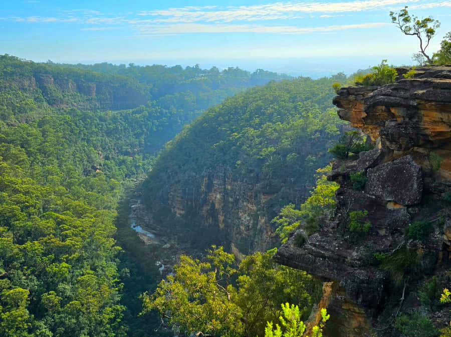 From Sydney: Blue Mountains Tour with Waterfall Walk & Lunch - What the weather can change