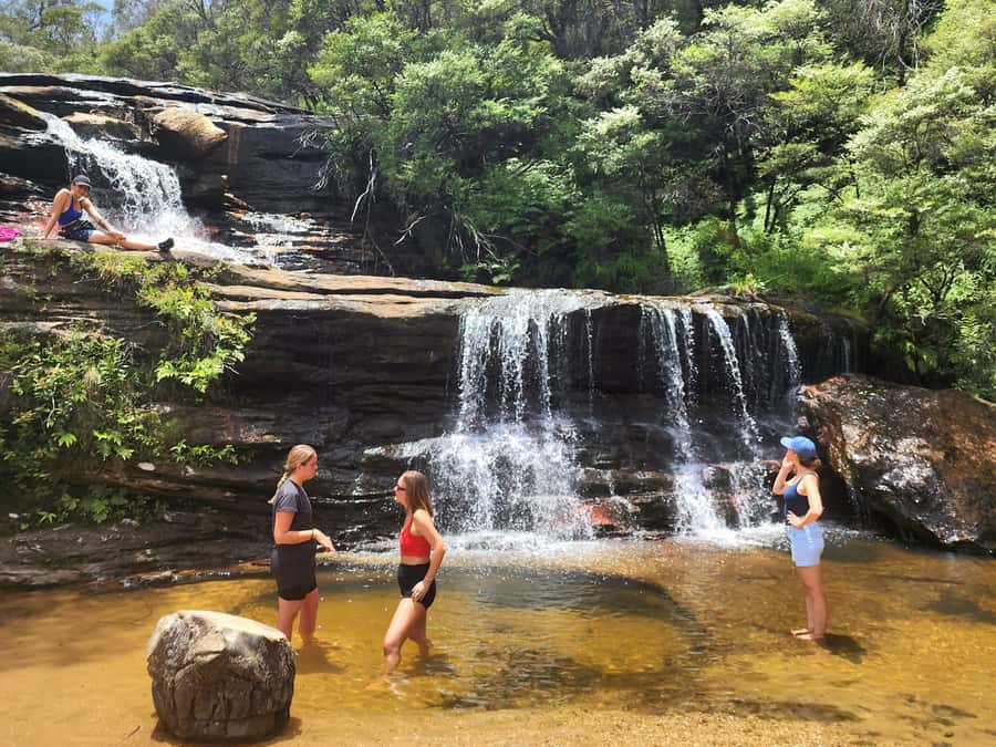 From Sydney: Blue Mountains Tour with Waterfall Walk & Lunch - Is $85 good value?