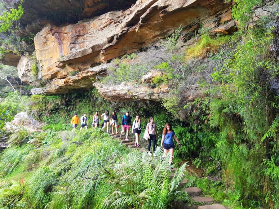 From Sydney: Blue Mountains Tour with Waterfall Walk & Lunch - A full day that starts near Central Station