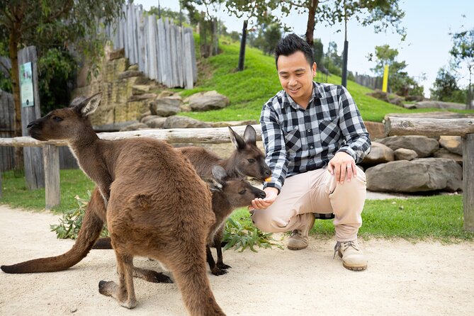 From Sydney: Blue Mountains with Zoo, Koala Photo & Scenic World - Gordon Falls adds a quieter mountain view