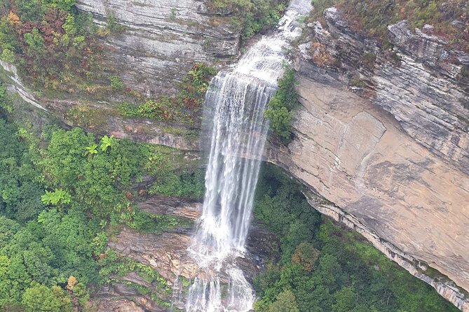 From Sydney: Blue Mountains with Zoo, Koala Photo & Scenic World - Scenic World packs three rides into two hours