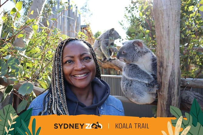 From Sydney: Blue Mountains with Zoo, Koala Photo & Scenic World - Cahill’s Lookout ends the mountain section