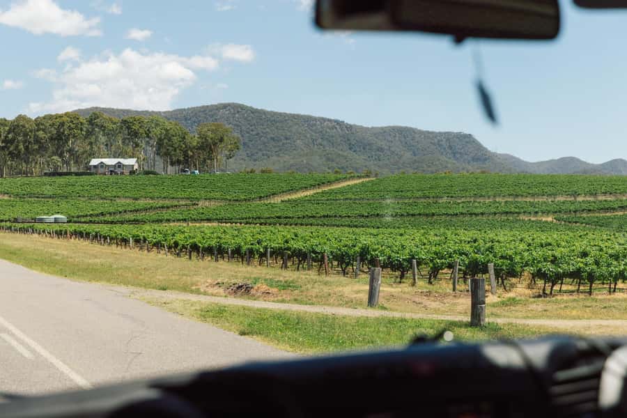 From Sydney: Full-Day Hunter Valley Wine Tour & Lunch - First winery: production before tasting