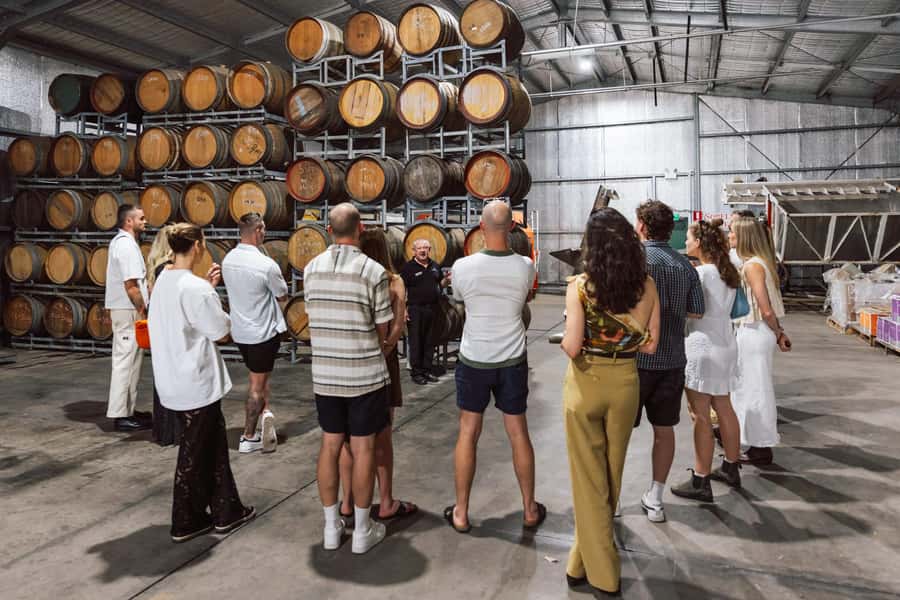 From Sydney: Full-Day Hunter Valley Wine Tour & Lunch - Guides, group atmosphere, and comfort
