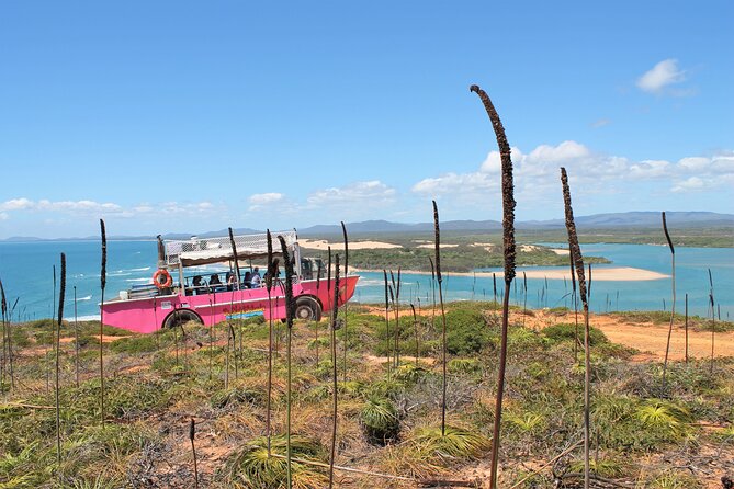 Full-Day 1770 Tour by LARC Amphibious Vehicle Including Sandboarding and Bustard Head Lightstation - Morning tea and lunch add real value