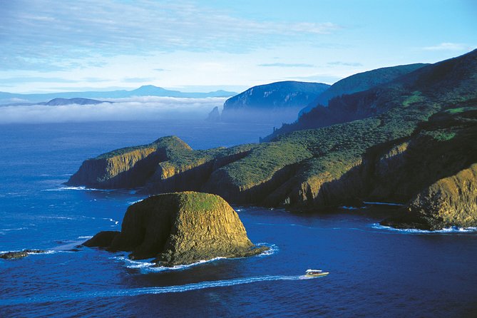 Full-Day Bruny Island Cruises Day Tour from Hobart - Seals, dolphins, birds, and the luck of the sea