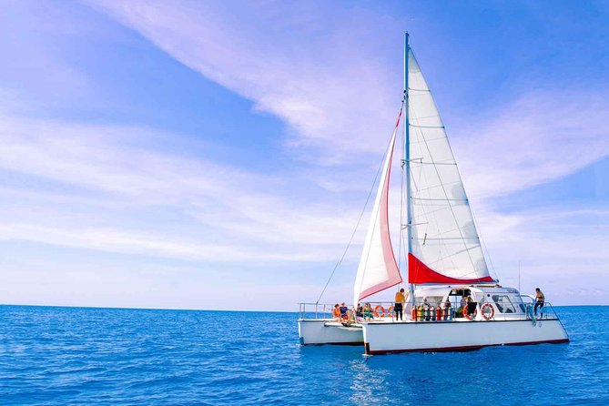 Full-Day Great Barrier Reef Sailing Trip from Cairns - Upolu Reef and the sheltered lagoon