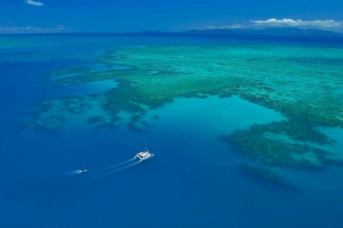Full-Day Great Barrier Reef Sailing Trip from Cairns - About three hours for snorkeling and scuba