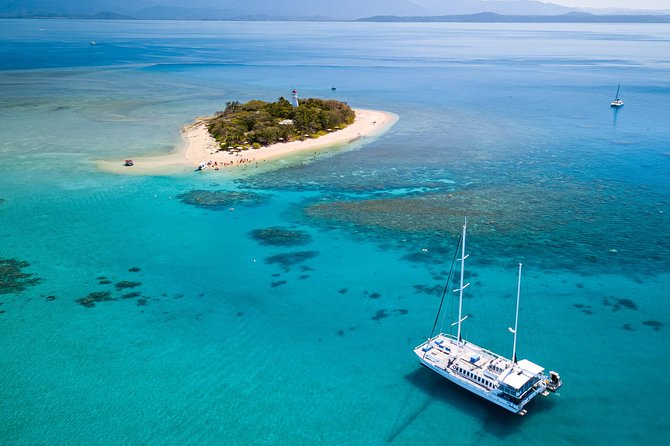Full-Day Great Barrier Reef Sailing Trip from Cairns - What you may see beneath the surface