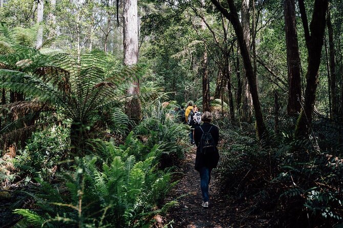 Full-Day Guided Bruny Island Tour from Hobart - Adventure Bay for coffee, sand, and sea air
