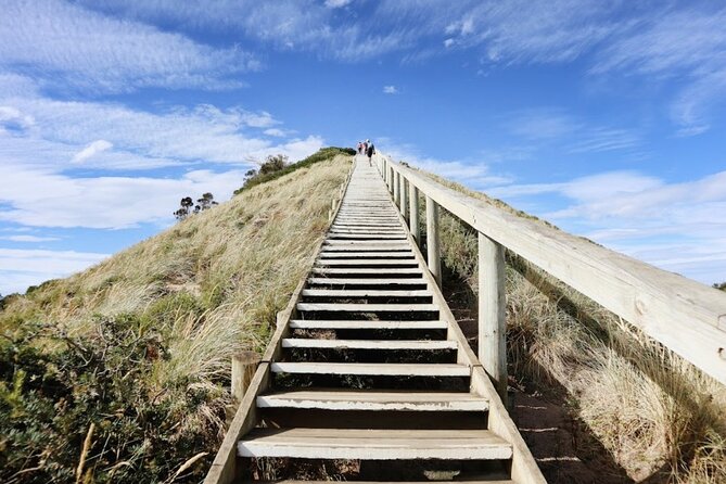 Full-Day Guided Bruny Island Tour from Hobart - How much value do you get for $129.10?