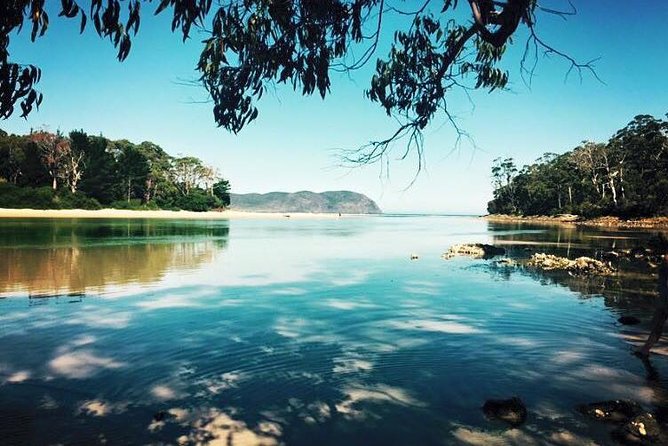 Full-Day Guided Bruny Island Tour from Hobart - The Neck lookout and Bruny’s best panorama