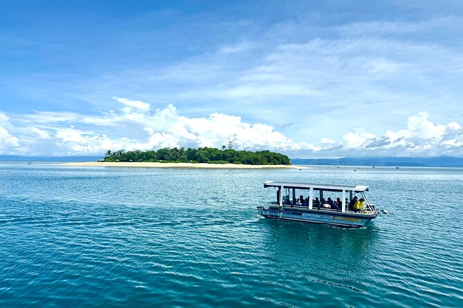 Full Day Low Isles Sailing & Snorkelling Cruise from Port Douglas - Snorkeling with a marine biologist