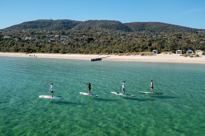 Full-Day Penguins and Wildlife Nature Experience from Melbourne - Guides make a long day easier