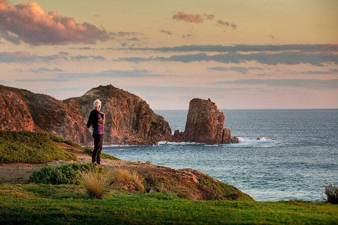 Full-Day Phillip Island Tour with Kangaroo, Koala and Penguin Parade - Cowes gives you a useful meal break