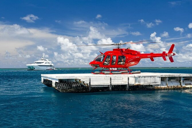 Full Day Reef Cruise and 10 Minute Helicopter Scenic Flight - Three ways to see the reef in one day