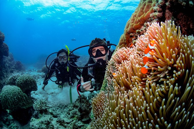 Full Day Reef Cruise and 10 Minute Helicopter Scenic Flight - Three hours at the first reef