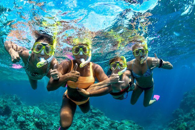Full Day Reef Cruise and 10 Minute Helicopter Scenic Flight - BBQ lunch with a proper break