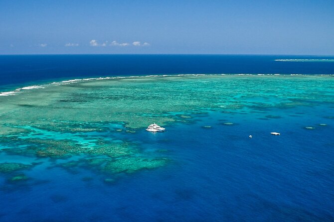 Full Day Reef Cruise and 10 Minute Helicopter Scenic Flight - Hastings Reef and the helicopter flight