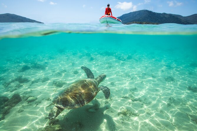 Full-Day Whitsunday Sail and Snorkel Adventure with Lunch - Beach time, banana boats, and a little island exploring