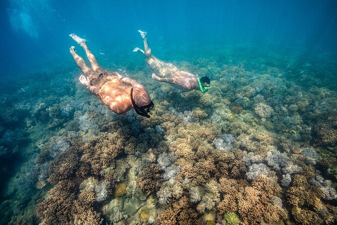 Full-Day Whitsunday Sail and Snorkel Adventure with Lunch - Lunch is a real part of the value