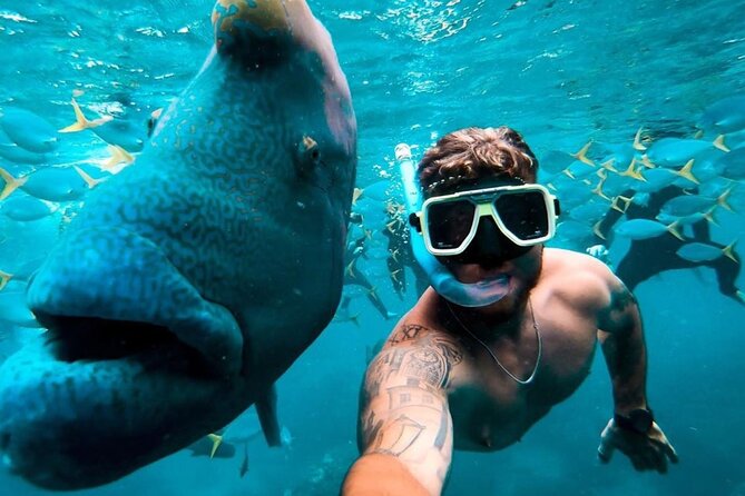 Full-Day Whitsunday Sail and Snorkel Adventure with Lunch - The sunset return to Airlie Beach
