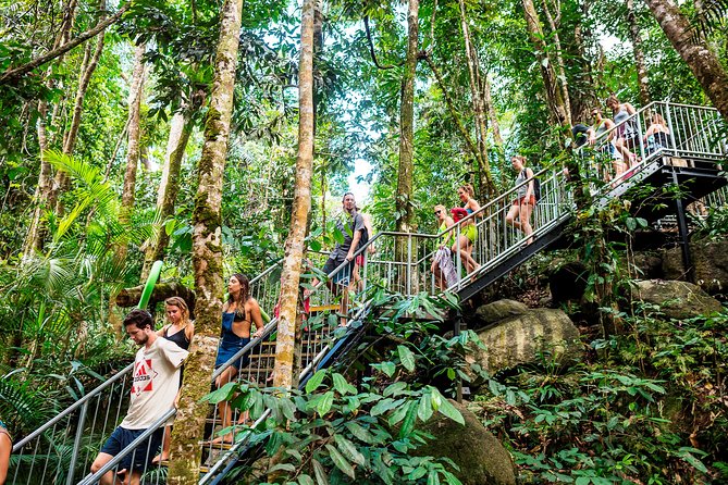 Fun, Falls and Forests Day Trip from Cairns - Lake Eacham explains the volcanic side of the trip