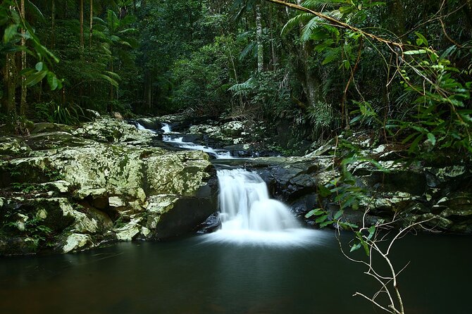Glow-worms, Waterfalls & Rainforest Experience - Who will enjoy this most?