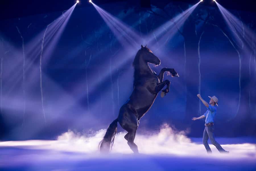 Gold Coast: Australian Outback Spectacular Dinner & Show - A big Australian story told across the arena
