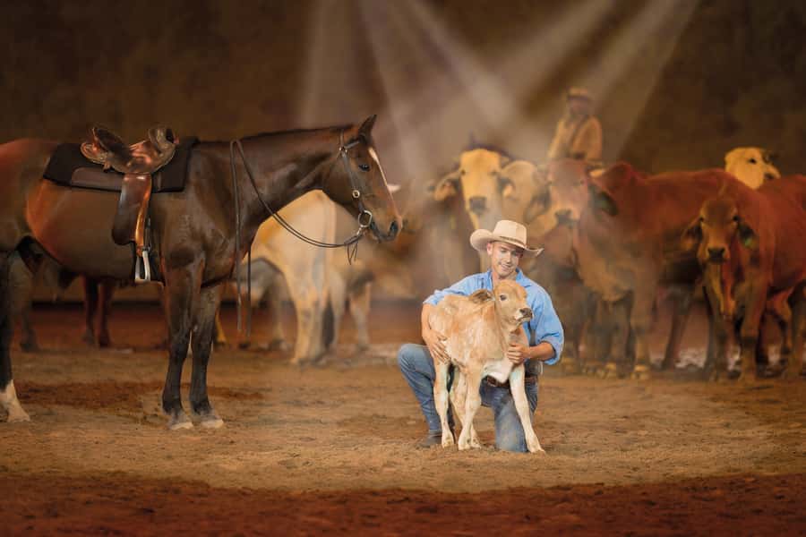 Gold Coast: Australian Outback Spectacular Dinner & Show - Is $84 good value?