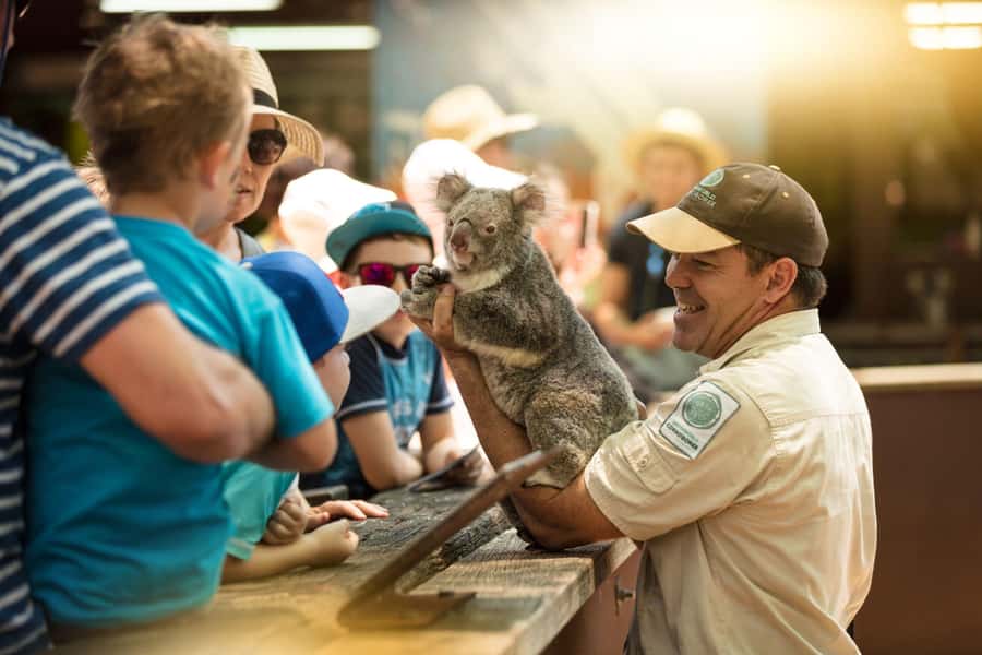 Gold Coast: Dreamworld 1-Day Entry Ticket - How to build a better four-and-a-half-hour park plan