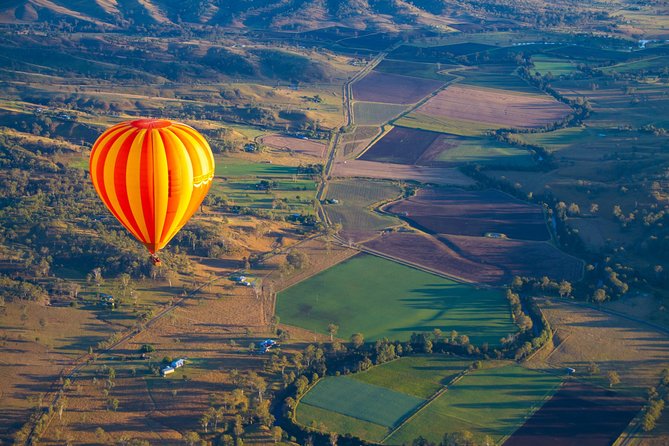 Gold Coast Hot Air Balloon + Winery Breakfast + Return Transfers - Wine Tasting, Cellar Door, and Alpaca Time