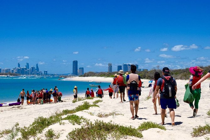 Gold Coast Kayaking & Snorkelling Tour (2.5 Hours) - Should you book the Wave Break Island kayak tour?