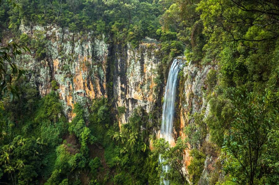 Gold Coast: Natural Bridge & Springbrook Waterfalls Tour - Key points to know before booking