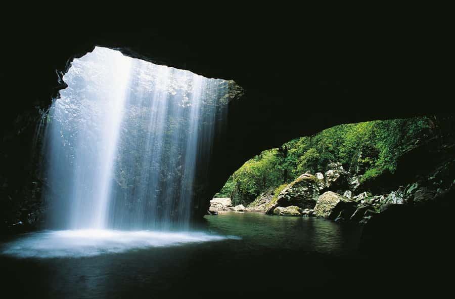Gold Coast: Natural Bridge & Springbrook Waterfalls Tour - Leaving the Gold Coast for Numinbah Valley