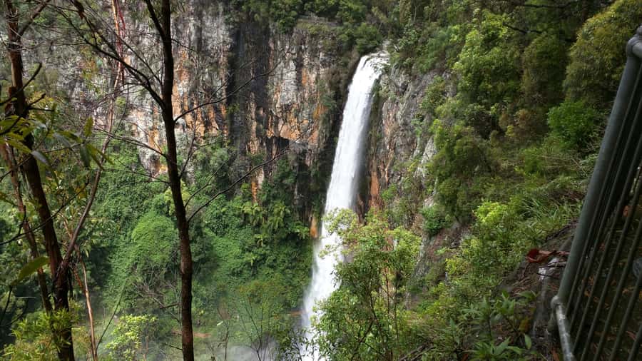 Gold Coast: Natural Bridge & Springbrook Waterfalls Tour - Natural Bridge and the basalt cave waterfall