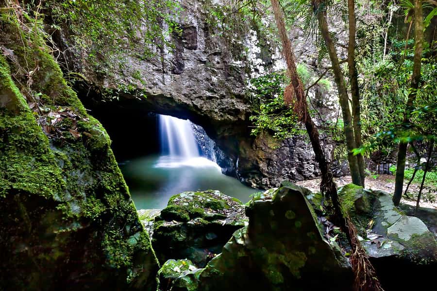 Gold Coast: Natural Bridge & Springbrook Waterfalls Tour - Who should book this Springbrook tour?