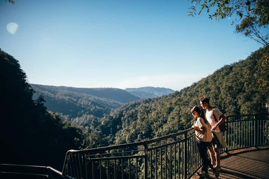 Gold Coast: Natural Bridge & Springbrook Waterfalls Tour - Hinze Dam adds a useful first pause