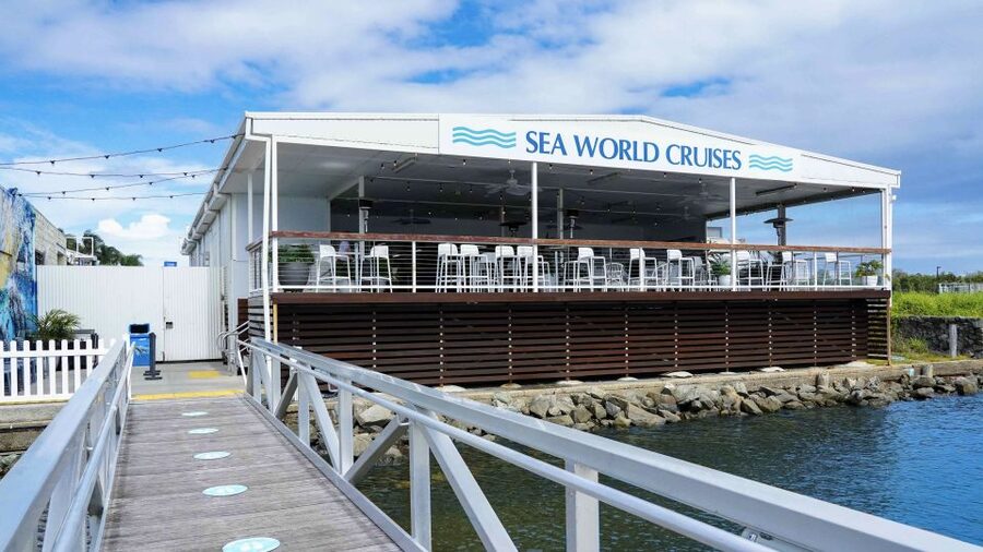 Gold Coast: Premium Whale Watching Cruise - The crew and the value of expert commentary