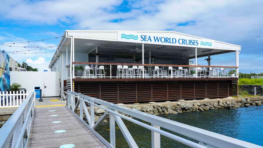 Gold Coast: Premium Whale Watching Cruise - Choosing the best time and season