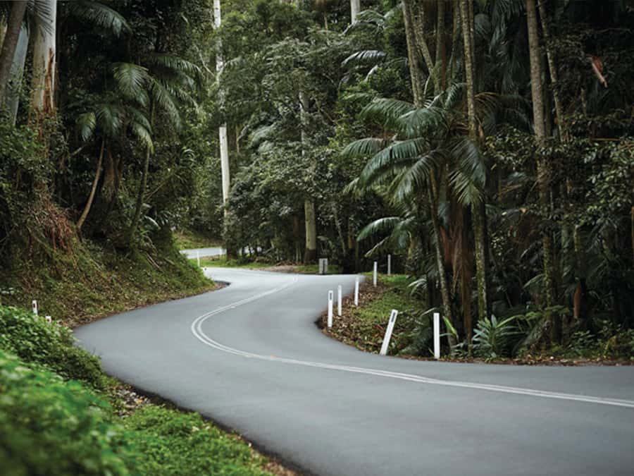 Gold Coast: Tamborine Mountain Local Winery Tour with Lunch - Hampton Estate brings wine and lunch together