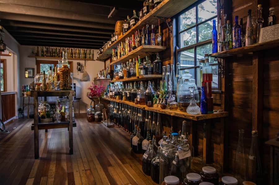 Gold Coast: Tamborine Mountain Local Winery Tour with Lunch - The guides make the long day work