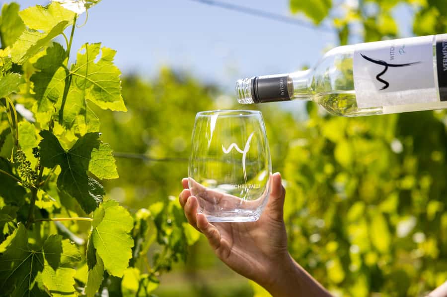 Gold Coast: Tamborine Mountain Local Winery Tour with Lunch - Is $162 good value?