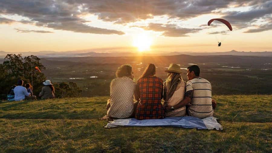 Gold Coast: Tamborine Mountain Local Winery Tour with Lunch - Who will enjoy this Tamborine Mountain day?
