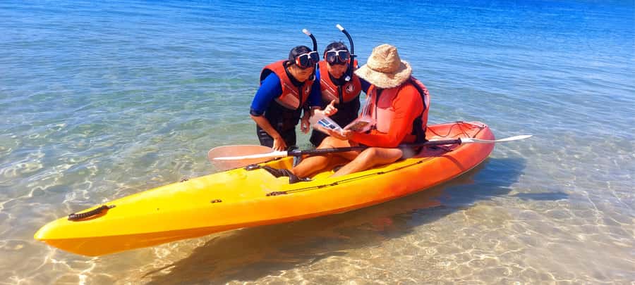 Gold Coast: Wave Break Island Kayaking & Snorkeling tour - Key points at a glance